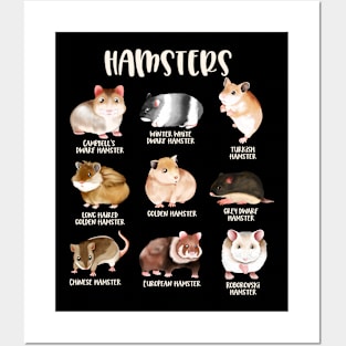 Different Hamster Species Posters and Art